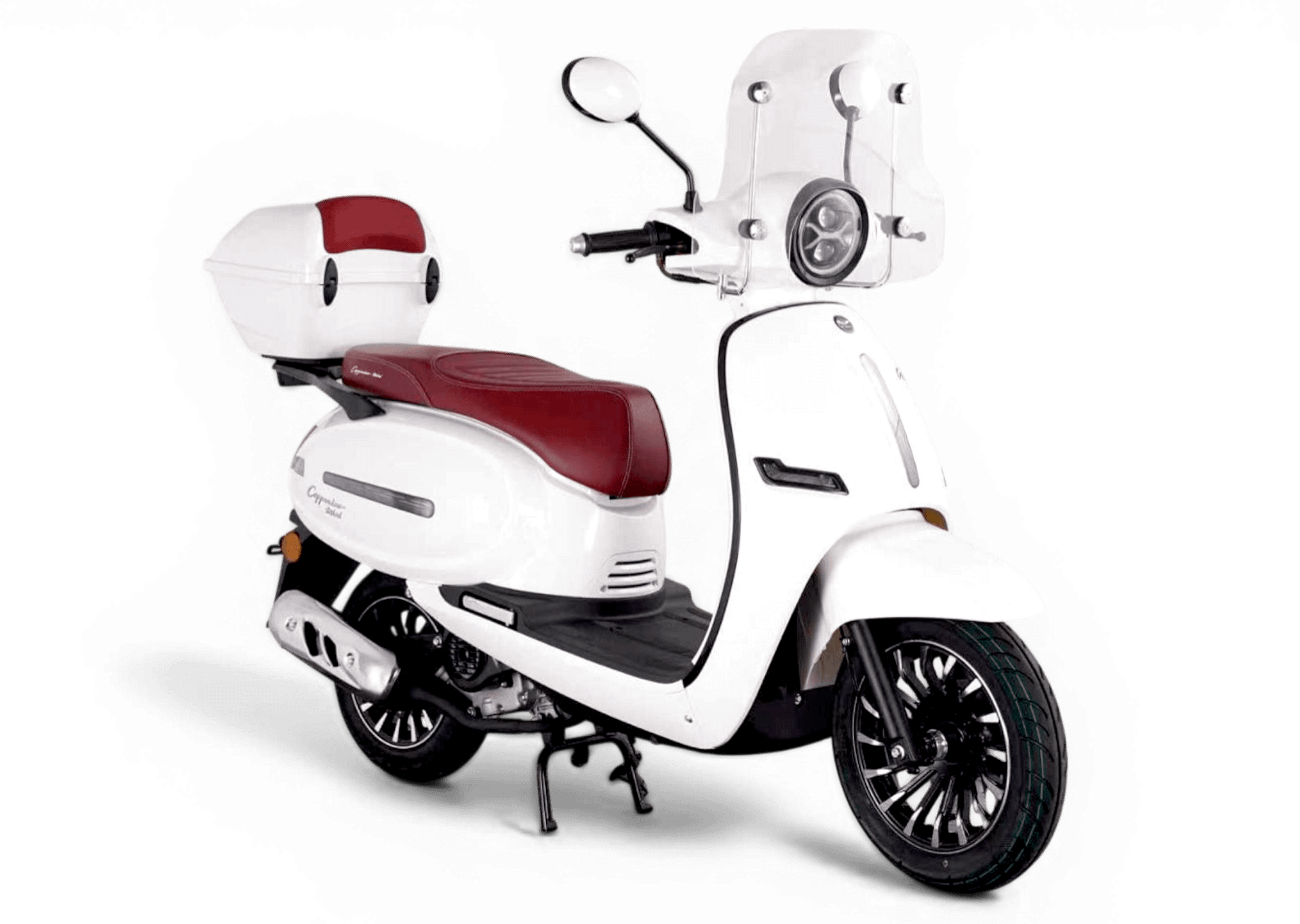 Cappuccino mini – Image 11